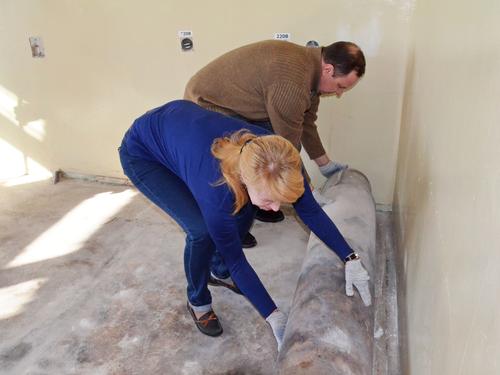 DSC_0018. ������ ������� ���������.