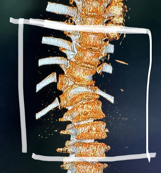 �����������_3. 