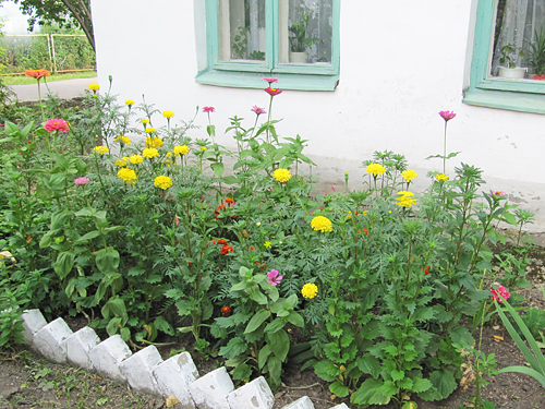 . ������ ���������.